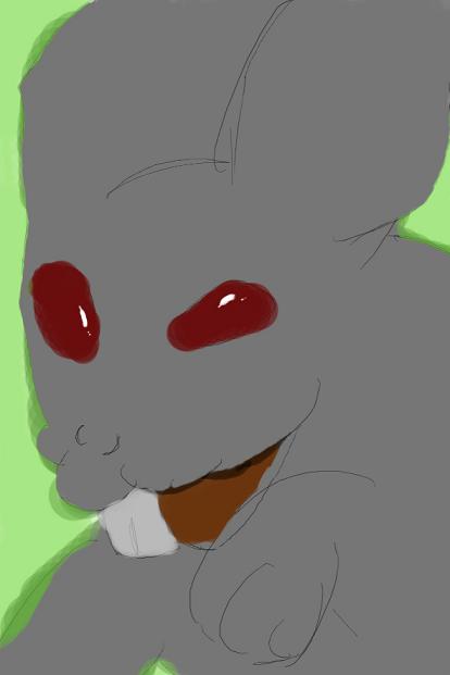 rabbit