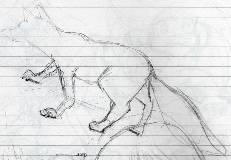 fox