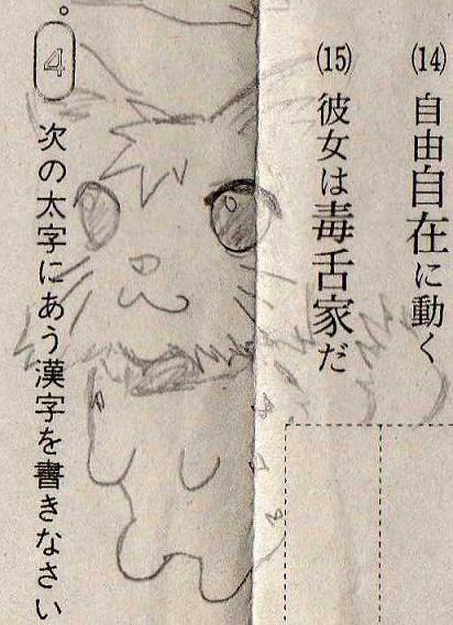 cat