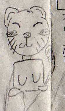 raccoon