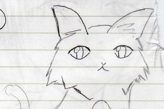 cat2