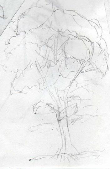 tree