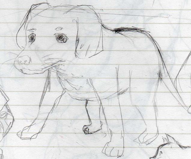 dog