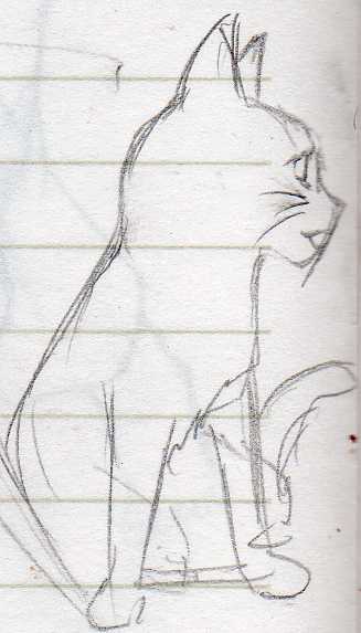 cat