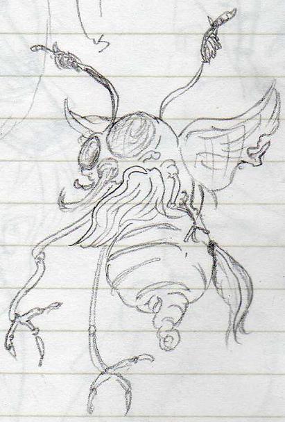 Insect