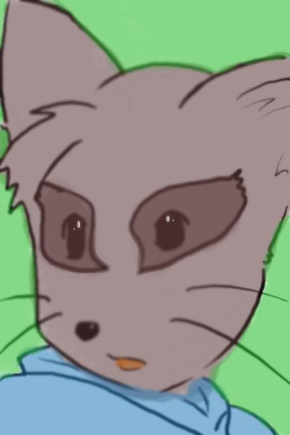raccoon dog